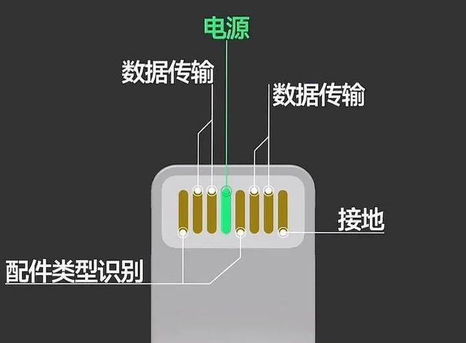 苹果手机的接口叫什么