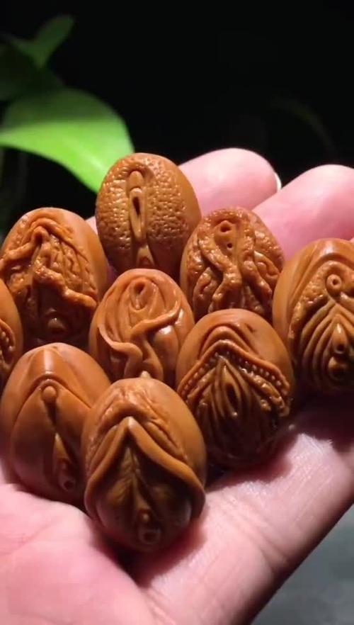 维持人体生命活动的三大要素截图