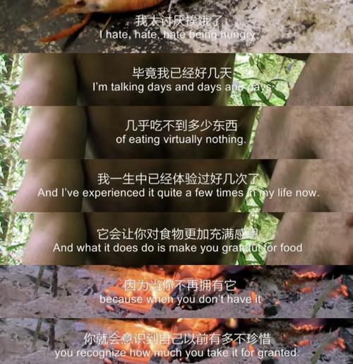 荒野家族纪录片