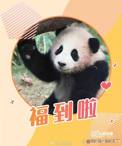 福气满满苏福宝