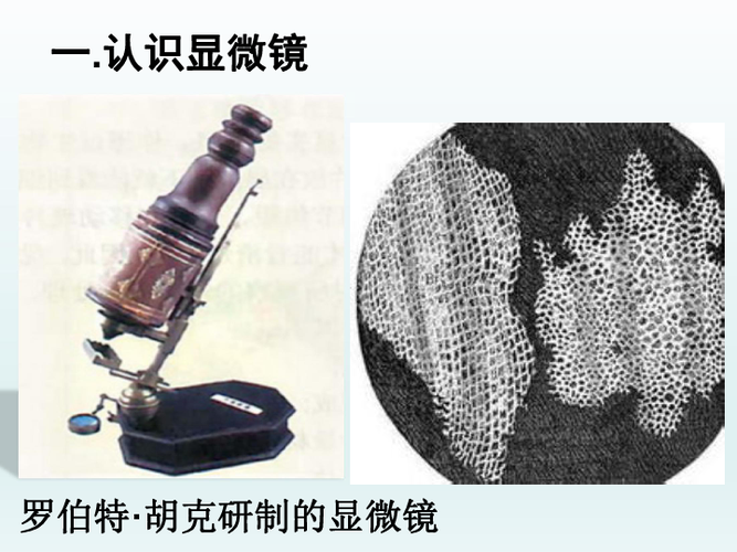 谁发明的显微镜