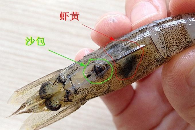去除虾沙包的方法
