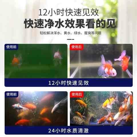 鱼缸水多少合适
