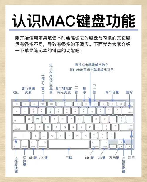 苹果笔记本键盘功能图
