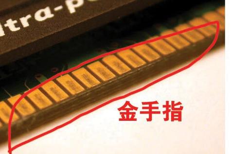 sectionstart金手指