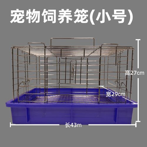 鹦鹉没笼子怎么养图标