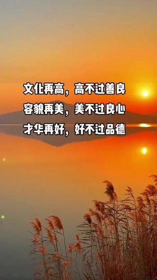 貌美老实人是会被欺负的缩略图