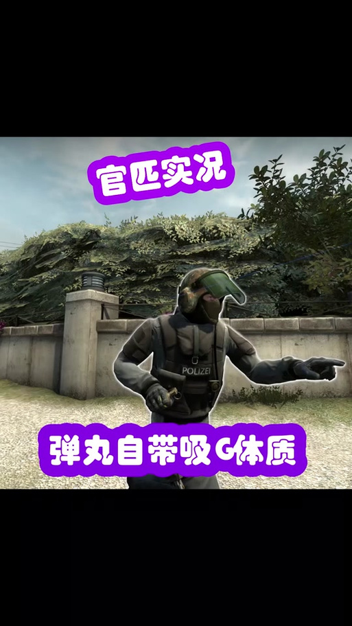 csgo官匹录像