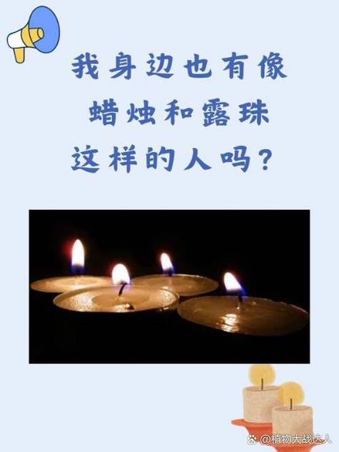 像蜡烛一样的人有哪些
