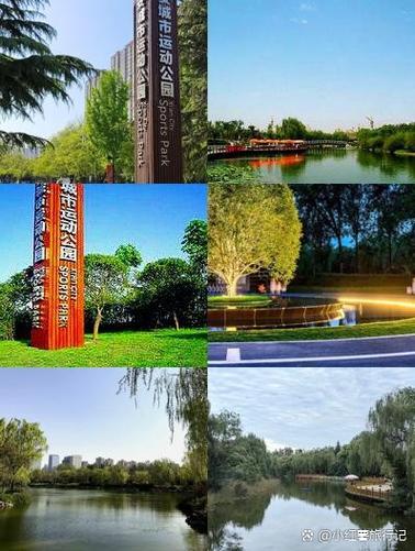 畅游中心官网入口