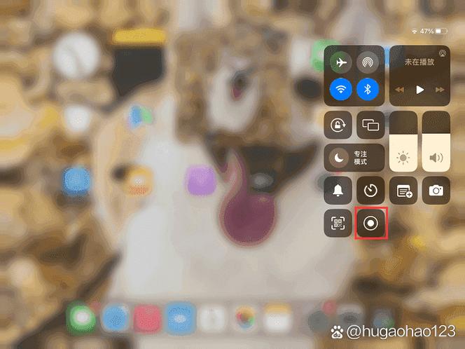 ipad录屏软件哪个好用截图