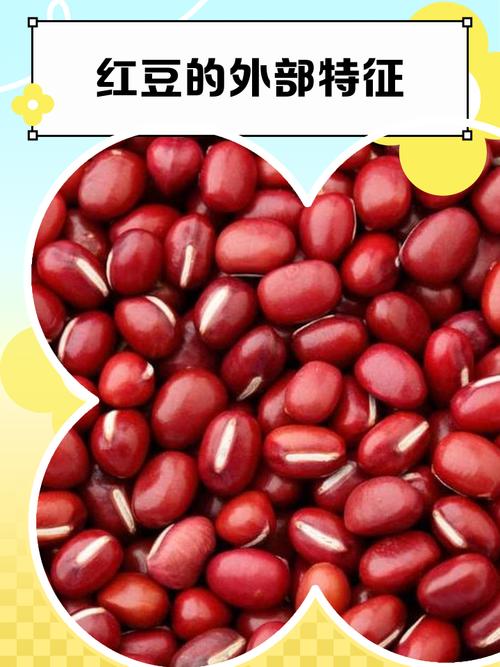 红豆瓣ios