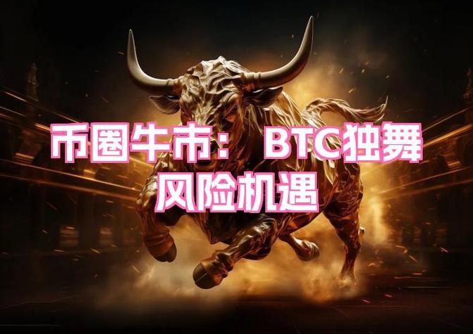 币圈下一个牛市热点板块