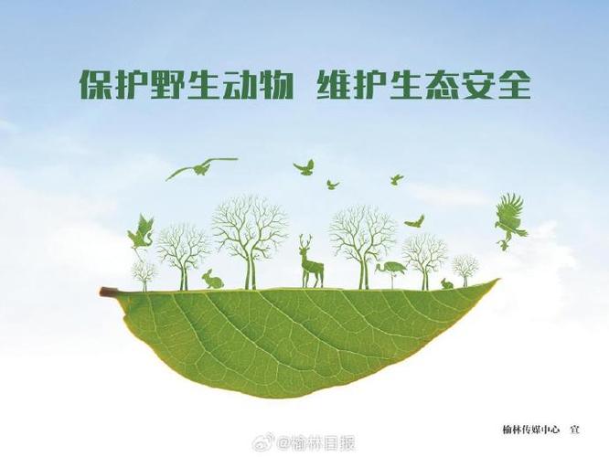 保护自然的公益广告语