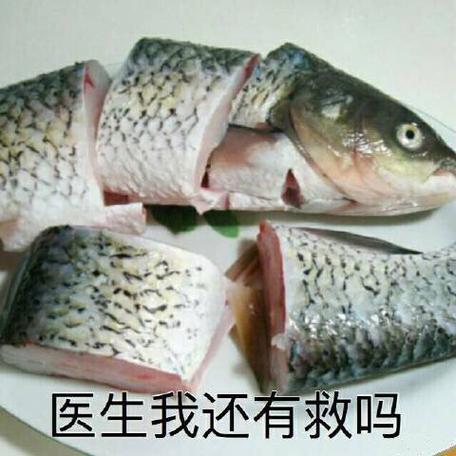 医生我还有救吗表情图截图