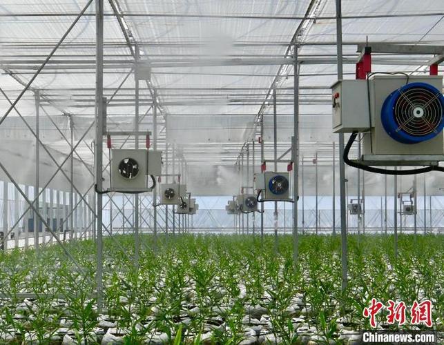 生姜科技公司截图