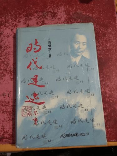 历史轨迹缩略图