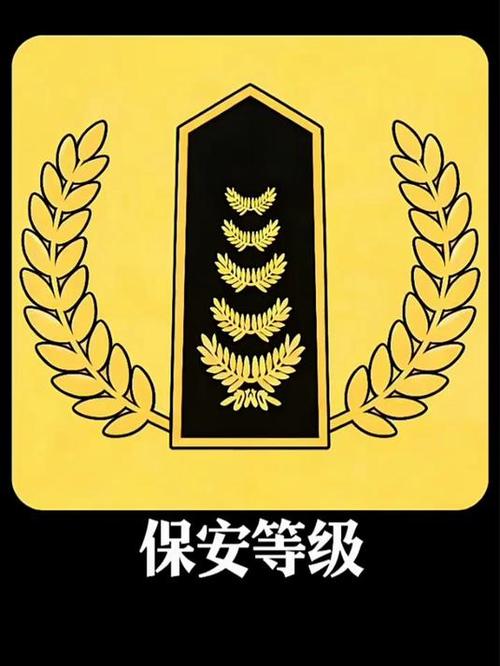 保安等级有几级