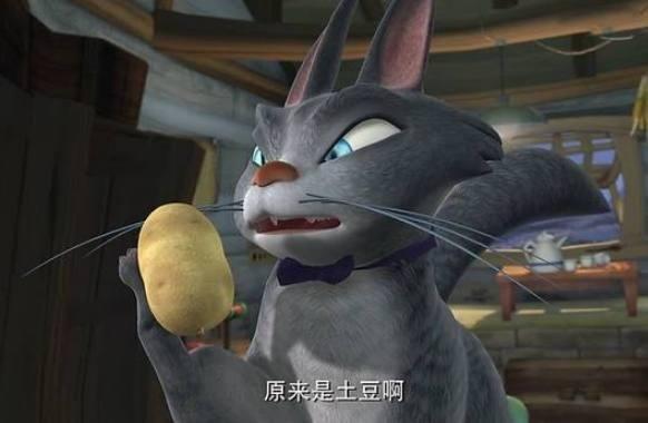 熊出没-肥波
