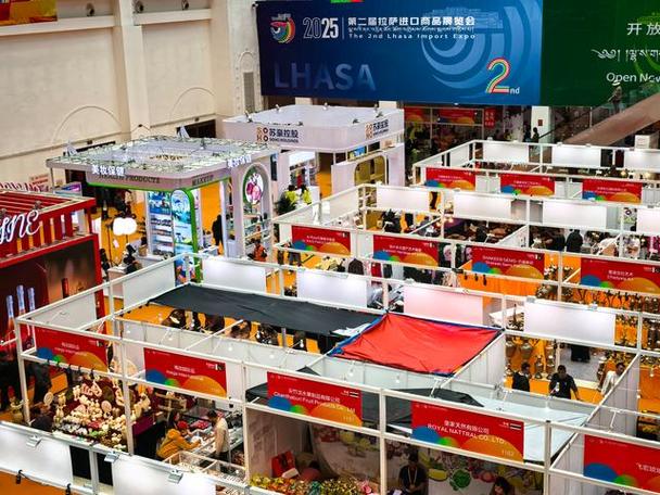 国际展会参展截图