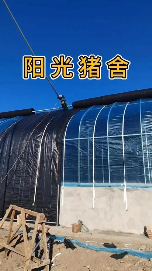 阳光养殖场缩略图