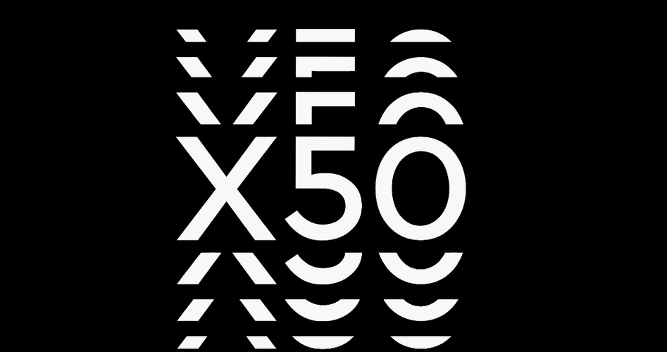 vivox50有没有双视野拍照