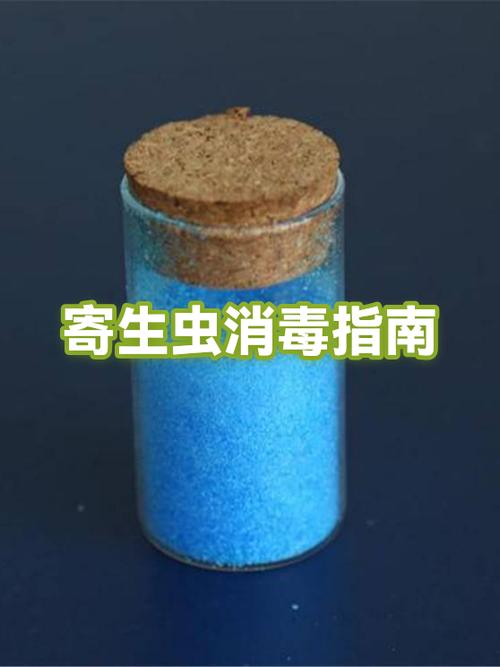 寄生虫下载图标