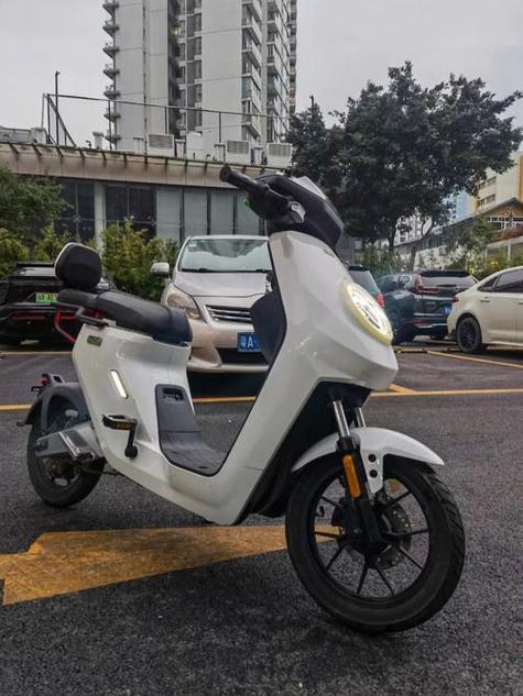 小牛厂家联系方式