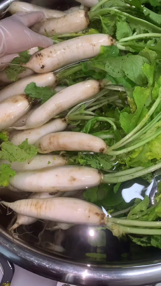 韩国泡菜萝卜的做法