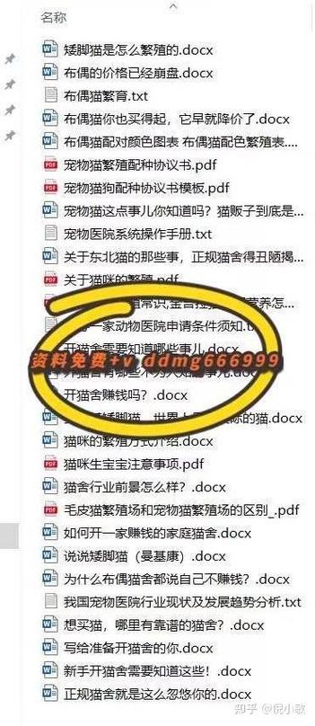 小猫赚钱多少钱可以提现