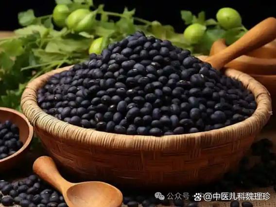 本草纲目软件使用教程