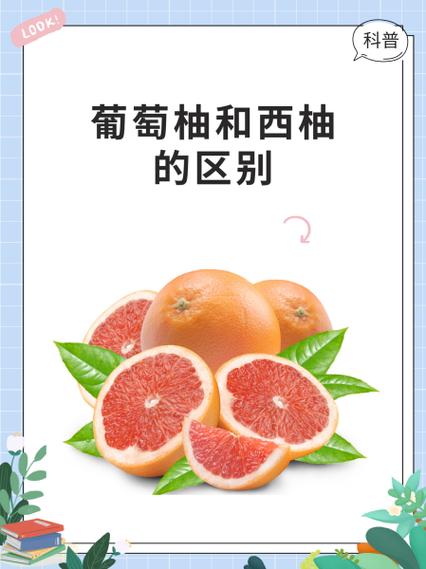 西柚和柚子有何区别缩略图