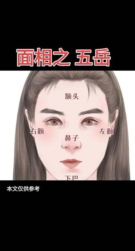 张含韵的面相分析缩略图