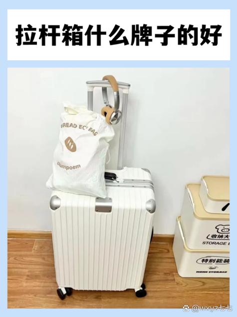 新秀丽和旅行者哪个好