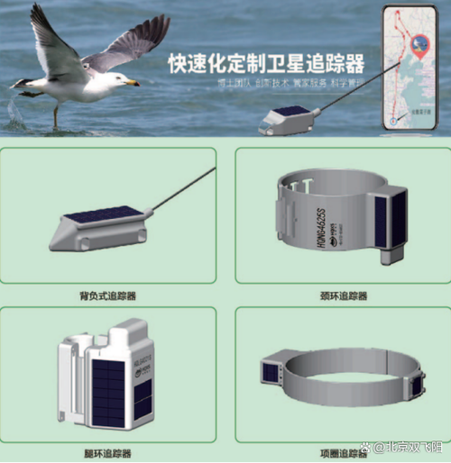 序列号g开头的是什么图标
