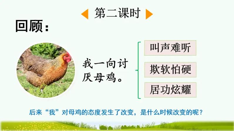 四年级下册第十四课母鸡