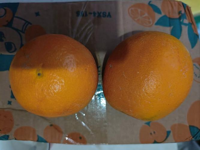 橙光游戏里的橙子兑换作品