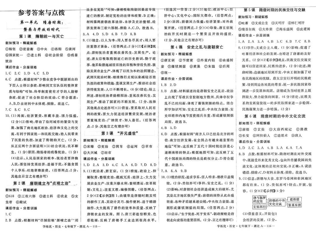 索菲亚辅导历史答案