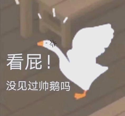 大鹅模拟器第三章攻略