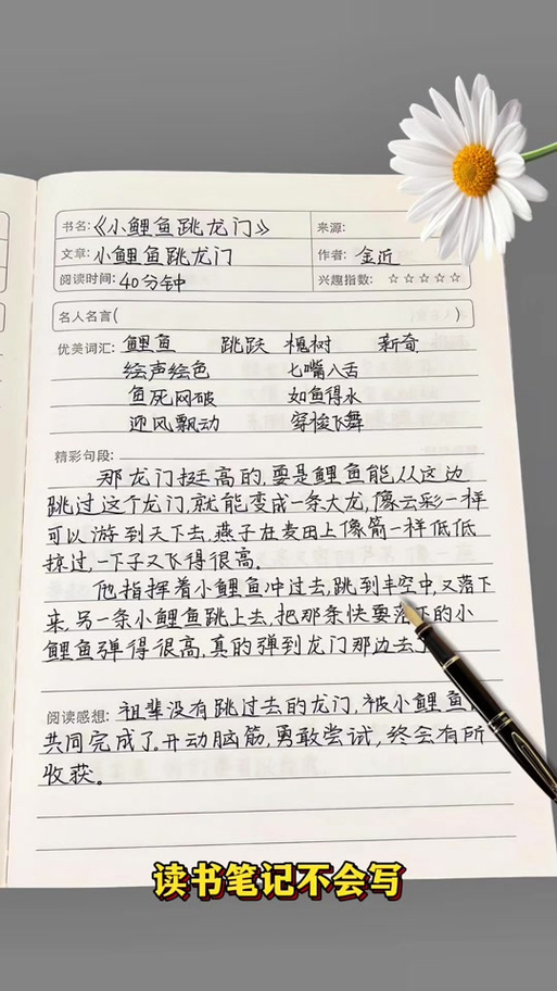 二年级阅读摘抄30篇游戏截图