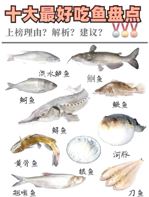 十大排名最营养的鱼