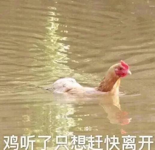 可爱的表情包 小孩图标