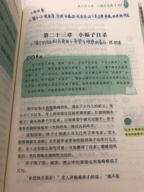 骆驼祥子原文无删减截图