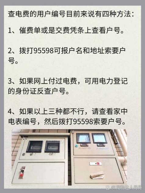 电费户号怎么看户主是谁图标