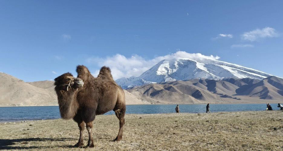 喀什当地参团三日游价格图标