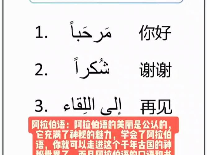 哪里可以学阿拉伯语