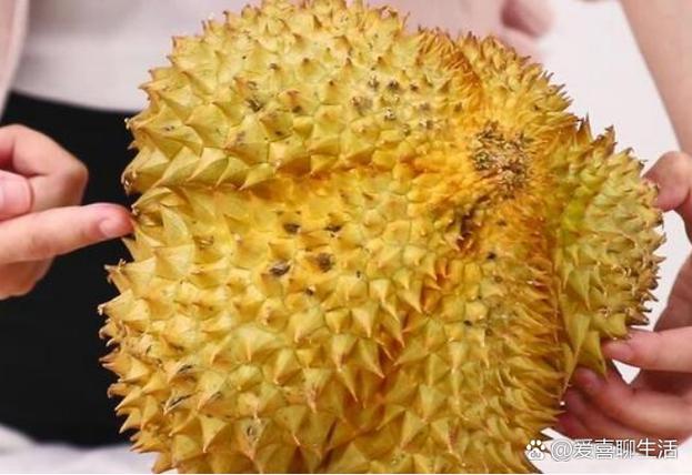 榴莲可以供佛吗