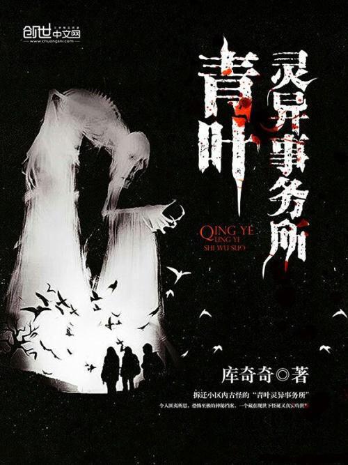 青叶小说图标