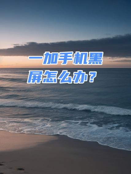 一加黑屏怎么处理