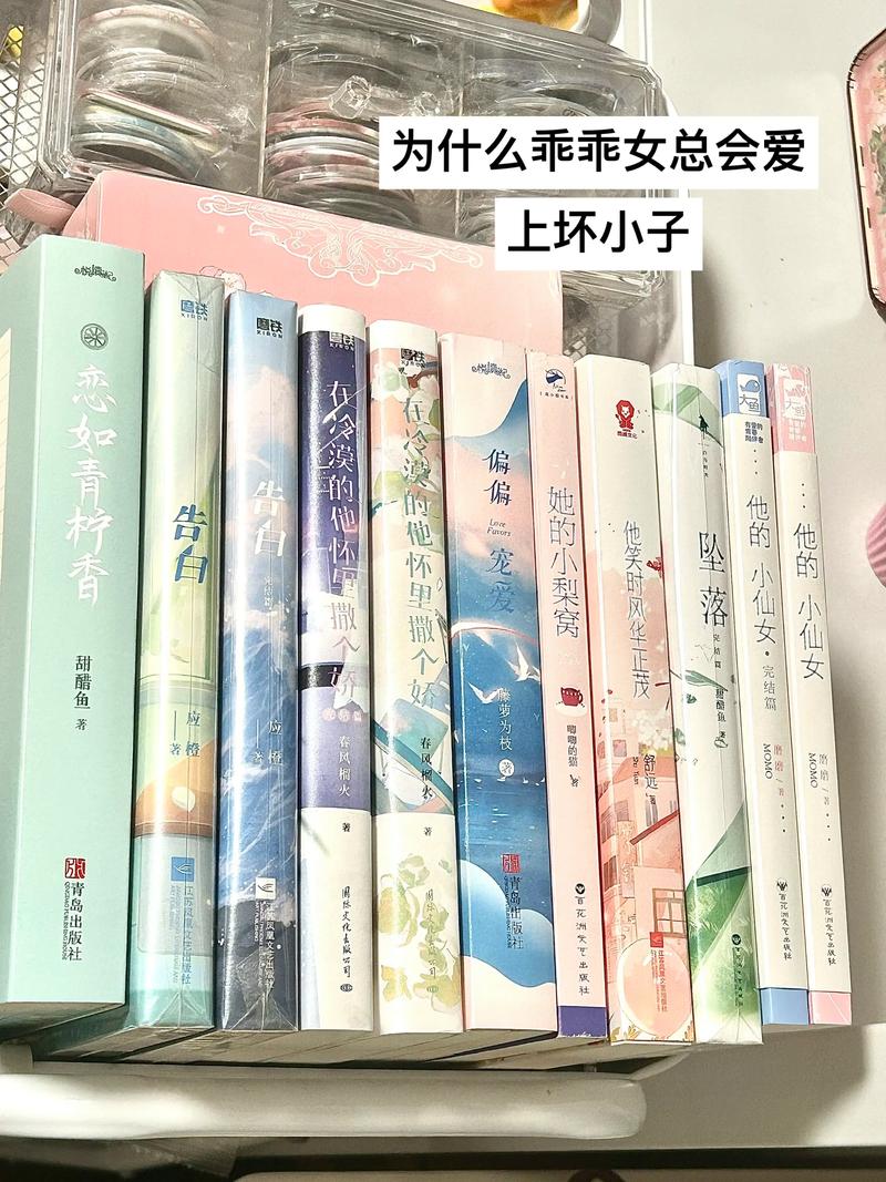 有声小说猫大大